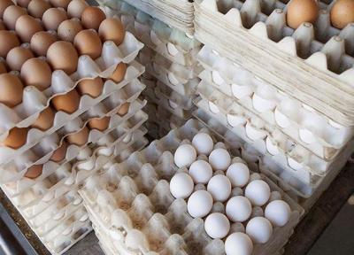 تخم مرغ شانه ای 48 هزار تومان شد ، علت گرانی چیست؟