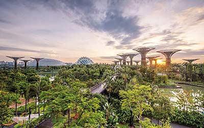 تور سنگاپور ارزان: برترین مسیرهای طبیعت گردی در سنگاپور