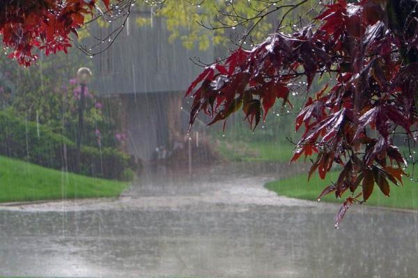 روز پنج شنبه اغلب منطقه ها کشور بارانی خواهد بود