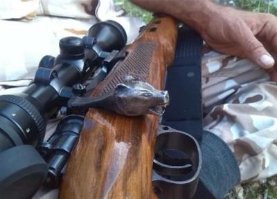 دستگیری شکارچی خودنما ، تصویر این شکارچی خارپشت تَشی را ببینید