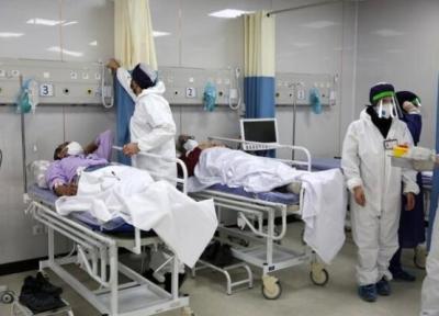 هشدار شیوع وبا ؛ آماده باش وزارت بهداشت ، آمار ابتلا به وبا در سال گذشته ؛ اپیدمی در 2 استان
